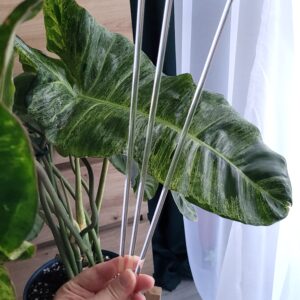 Pręciki plexi podpórka 3szt