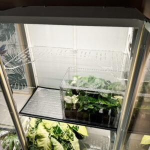 Półka do witryny Milsbo Zestaw